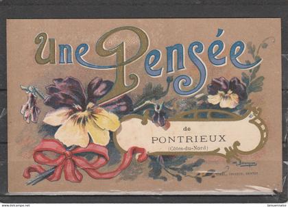 22 - PONTRIEUX - Une Pensée de Pontrieux