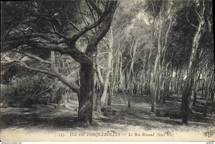 CPA Ile de Porquerolles le Bon Renaud Sous bois