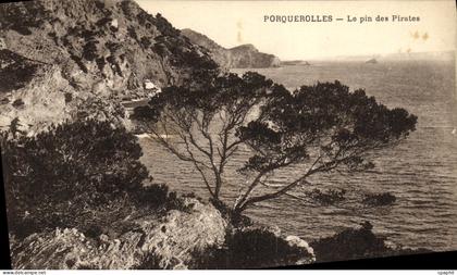 CPA Ile Porquerolles Le Pin des Pirates