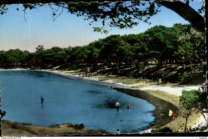 Ile de Porquerolles CPA La plage d'argent