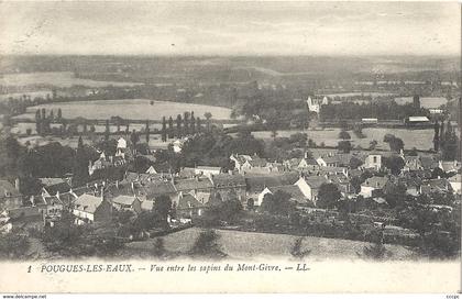 CPA Pougues-les-Eaux vue entre les sapins du Mont-Givre