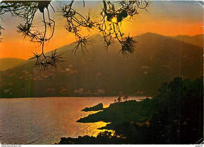 CPM Cote d'Azur Coucher de Soleil