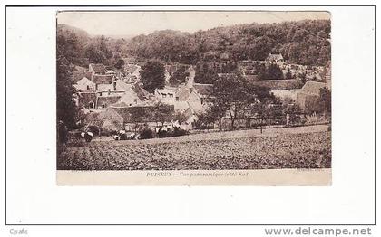 carte 1915 PUISEUX / VUE PANORAMIQUE (côté sud)