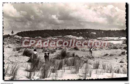 CPA Quend Plage Les Dunes Et Le Bois De Pins