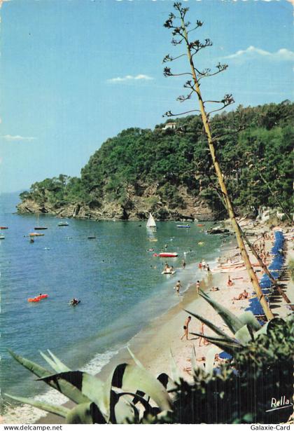 83 LE RAYOL CANADEL SUR MER LA PLAGE