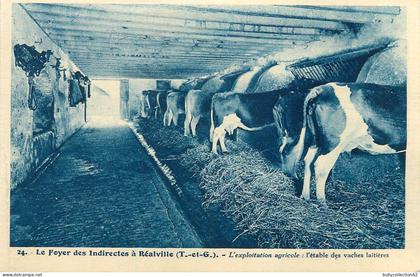 CPA Réalville 82/24