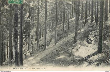 CPA REMIREMONT - Sous-bois