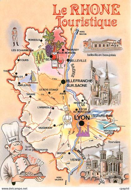CPM Le Rhone Touristique Lyon