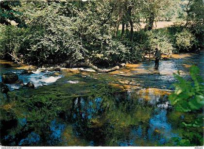 42 - Riorges - La Renaison - Rivière - CPM - Voir Scans Recto-Verso