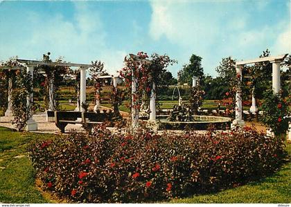 42 - Riorges - Parc de la Mairie - Fleurs - CPM - Voir Scans Recto-Verso