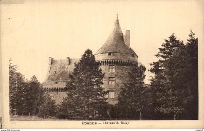 CPA Roanne Chateau de Boisy