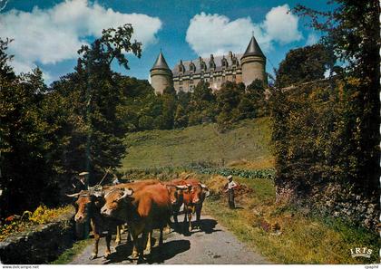 CPM Limousin Pittoresque Le Chateau de Rochechouart xi et xv siecles Bœufs