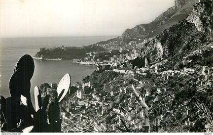 CPM Roquebrune Cap Martin Vue Generale Au fond Monte Carlo et le Rocher de Monaco