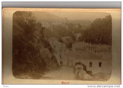 ROYAT  PHOTOGRAPHIE ANIMEE