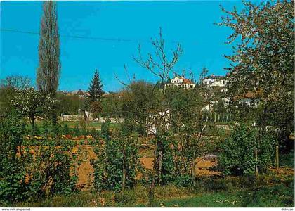 Carte Postale - 16 - Ruffec - Echappée vers Ruffec - Un joli coin fleuri au bord du Lien - Carte Neuve - CPM - Voir Scan