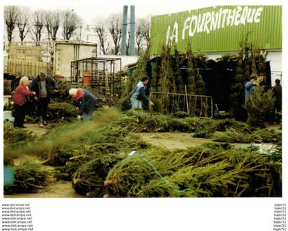 Rungis - Michel Dussart