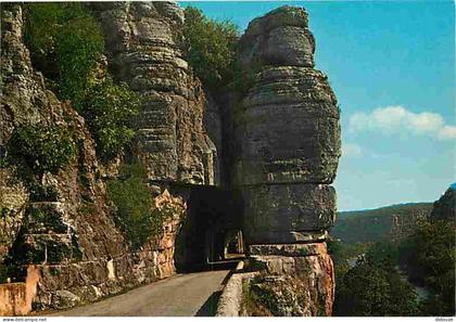 Carte Postale - 07 - Ruoms - Les Gorges de l'Ardèche - Le Défilé de Ruoms - Carte Neuve - CPM - Voir Scans Recto-Verso -