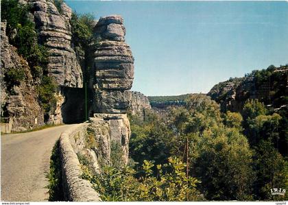 CPM Ardeche L'Entree des defiles de Ruoms