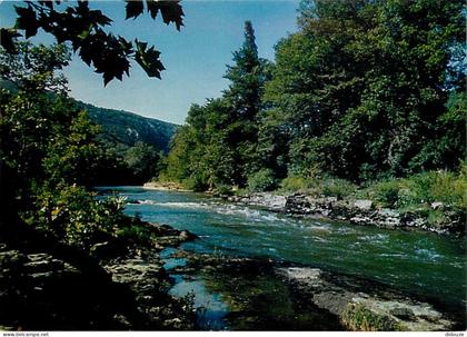 Carte Postale - 82 - Saint Antonin Noble Val - En parcourant les Gorges de l'Aveyron  le Saut de Loup près de St Antonin