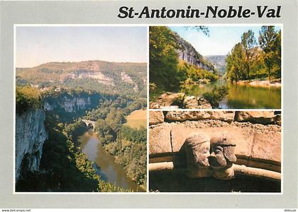 Carte Postale - 82 - Saint Antonin Noble Val - Multivues - CPM - Voir Scans Recto-Verso - Poscard - Carta Postal -  Post
