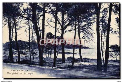 CPA Saint Aygulf Une pinede sur le rivage