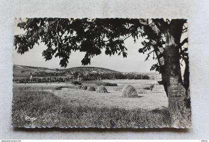 Cpsm, Saint Bris le Vineux, vue générale, Yonne 89