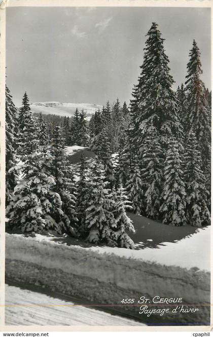 CPM St Cergue Paysage d'Hiver