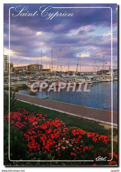 CPM La Cote Vermeille Saint Cyprien Plage Pyrenees Orientales Le port de plaisance