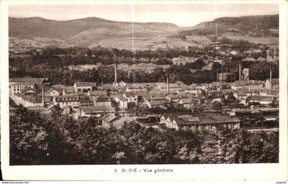 CPA Saint Die Vue generale