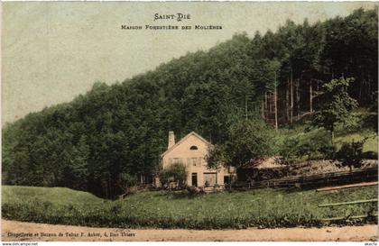CPA St-DIÉ - Maison Forstiere des Molieres (456107)