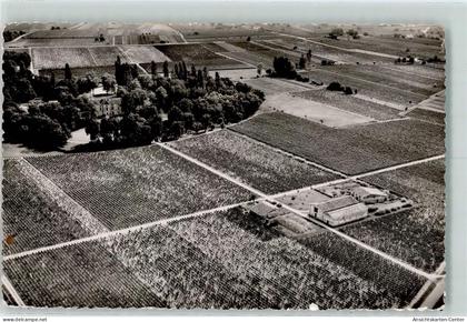 10300046 - Saint-Emilion