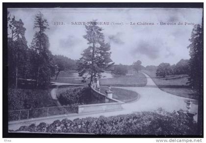 89 Saint-Fargeau chateau parc    D89D  K89344K  C89344C RH037657