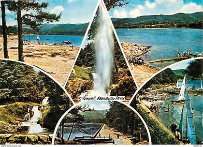 31 - Saint Ferreol - CPM - Voir Scans Recto-Verso