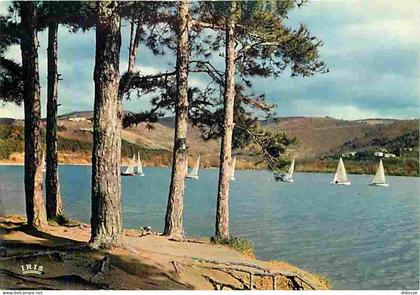 Carte Postale - 31 - Saint Ferreol - Bassin de Saint Ferreol - Régates sur le Lac - Voiles - Carte Neuve - CPM - Voir Sc