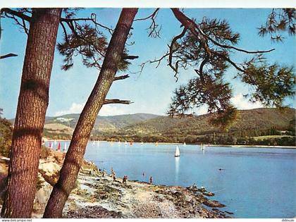 Carte Postale - 31 - Saint Ferreol - CPM - Voir Scans Recto-Verso - Poscard - Carta Postal -  Postkarte