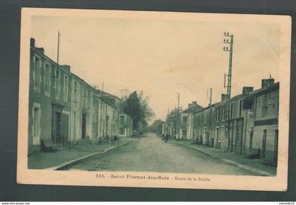 CP - 85 - Saint-Florent-des-Bois - Route de la Roche - tirage vert