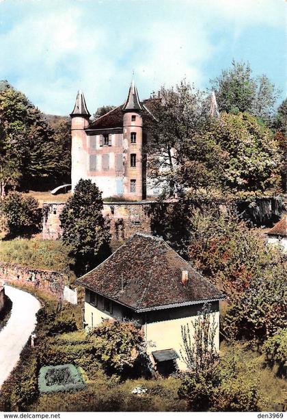 Saint-Geoire-en-Valdaine - Château de la Rochette (Colonie C. N. E. P.)