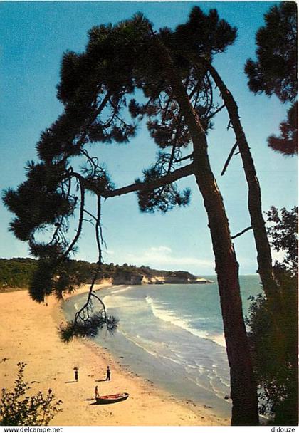 Carte Postale - 17 - Saint Georges de Didonne - Corniche de Saint Georges de Didonne à Meschers - La Plage de Suzac - CP