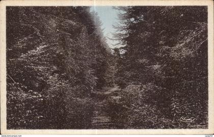 CPA Saint Germain L Herm Aspect de la foret