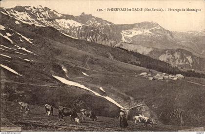 Saint Gervais les Bains CPA Paturage de montagne