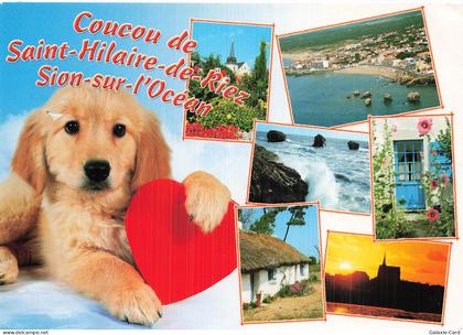 85 SAINT HILAIRE DE RIEZ SAINT HILAIRE DE RIEZ