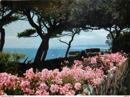 Carte Postale - 06 - Saint-jean-cap-ferrat - Jardins au cap-ferrat - Fleurs - CPM - Voir Scans Recto-Verso