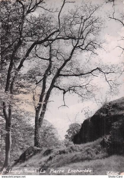 79 SAINT LOUP LAMAIRE LA PIERRE ENCHANTEE