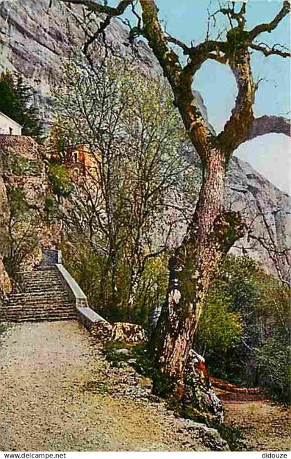 83 - Saint Maximin la Sainte Baume - Montée de la Grotte - CPM - Voir Scans Recto-Verso