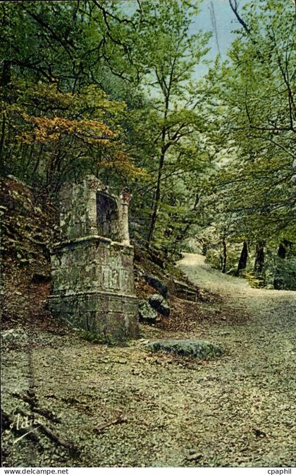 Saint-Maximin-la-Sainte-Baume - Hotellerie et Grotte - St Zacharie - CPA