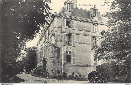 SAINT MICHEL EN L'HERM - le Château.