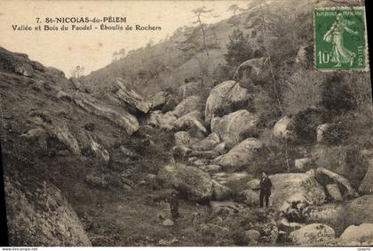 CPA SAINT-NICOLAS-du-PELEM Bois du Faodel