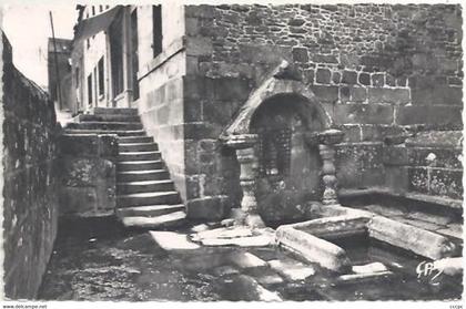 CPSM Saint-Nicolas-du-Pelem La Fontaine Saint-Nicolas