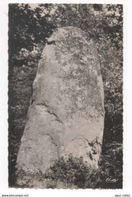 SAINT-NICOLAS-DU-PÉLEM   22  LE MENHIR