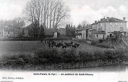 D64 -  SAINT-PALAIS < UN PADDOCK DE SAÏDI - CHOURY